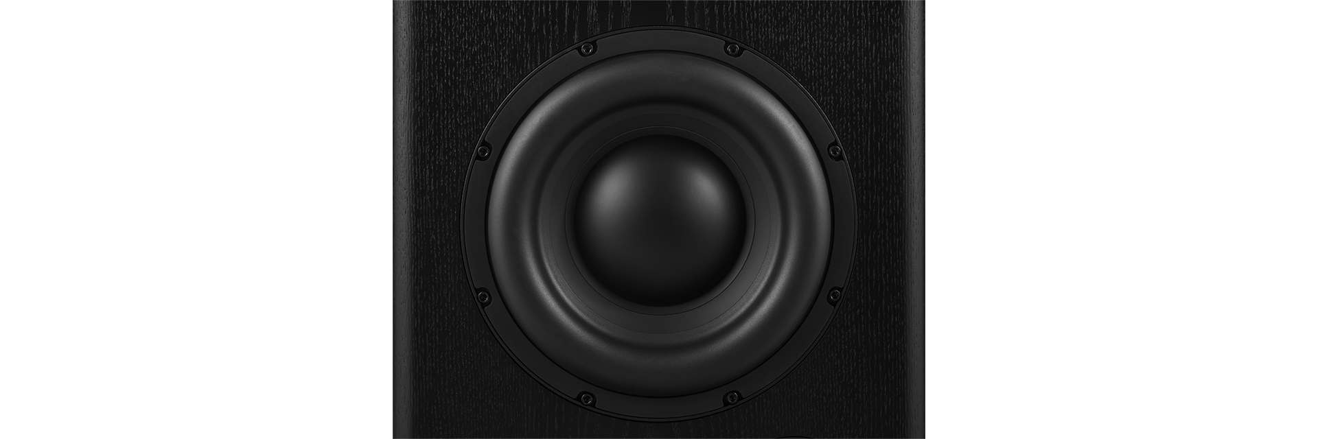 12-inch (300mm) black pure-pulp cone, cast frame woofer with 4-inch (100mm) voice coil